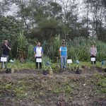 Aksi Hijau Hari Bumi, PLN NP UP Pacitan Tanam Cemara Laut dan Pandan